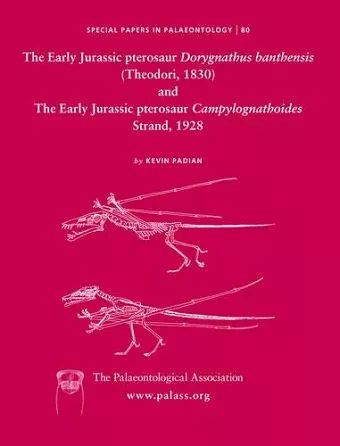 Early Jurassic pterosaur Dorygnathus banthensis (Theodori, 1830) and The Early Jurassic pterosaur Campylognathoides Strand, 1928 cover