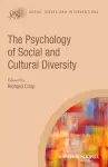 The Psychology of Social and Cultural Diversity cover