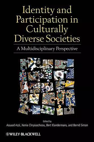 Identity and Participation in Culturally Diverse Societies cover