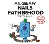 Mr. Grumpy Nails Fatherhood cover