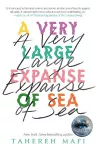 A Very Large Expanse of Sea cover