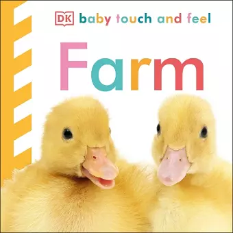 Baby Touch and Feel Farm cover