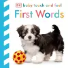 Baby Touch and Feel First Words cover