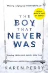 The Boy That Never Was cover