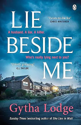 Lie Beside Me cover