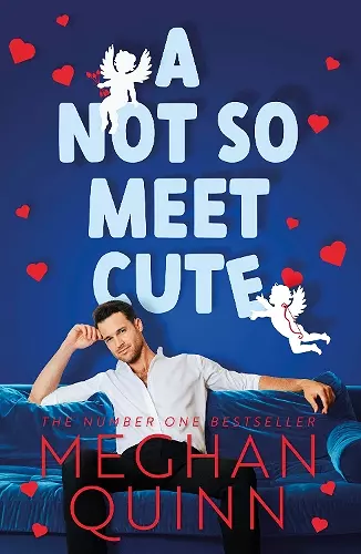 A Not So Meet Cute cover