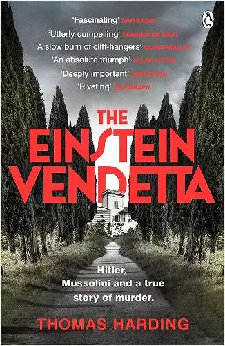The Einstein Vendetta cover