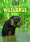 Wetlands cover