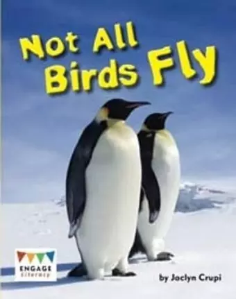 Not All Birds Fly cover