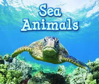 Sea Animals cover