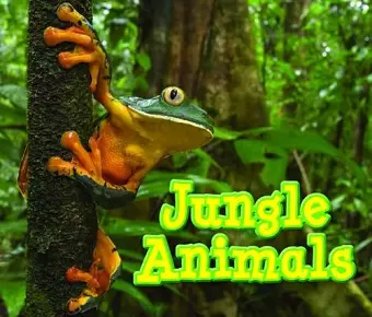 Jungle Animals cover