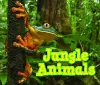 Jungle Animals cover