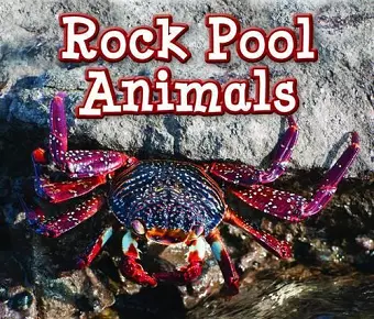 Rock Pool Animals cover