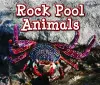 Rock Pool Animals cover