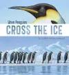 When Penguins Cross the Ice cover