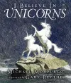 I Believe in Unicorns cover