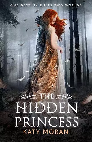 The Hidden Princess cover