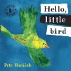 Hello, Little Bird cover