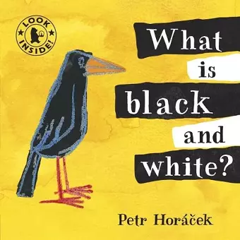 What Is Black and White? cover