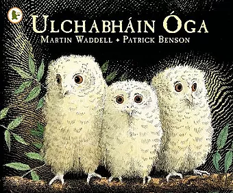 Ulchabháin Óga (Owl Babies) cover