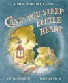 Can't You Sleep, Little Bear? cover