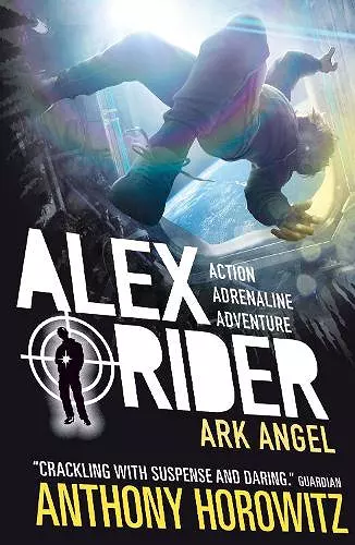 Ark Angel cover