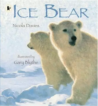 Ice Bear cover