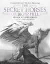 The Secret Horses of Briar Hill cover