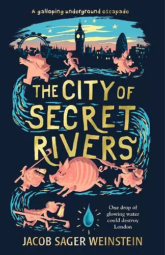 The City of Secret Rivers cover