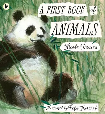 A First Book of Animals cover