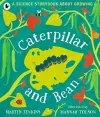 Caterpillar and Bean packaging