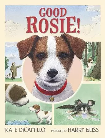 Good Rosie! cover