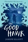 The Good Hawk (Shadow Skye, Book One) cover