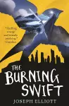 The Burning Swift (Shadow Skye, Book Three) cover