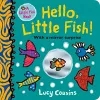 Hello, Little Fish! A mirror book cover