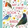 My First Book of Birds cover