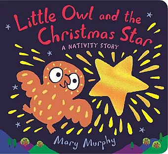 Little Owl and the Christmas Star cover