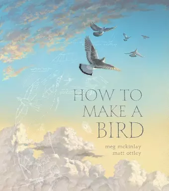 How to Make a Bird cover