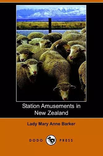 Station Amusements in New Zealand (Dodo Press) cover