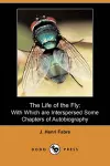 The Life of the Fly cover