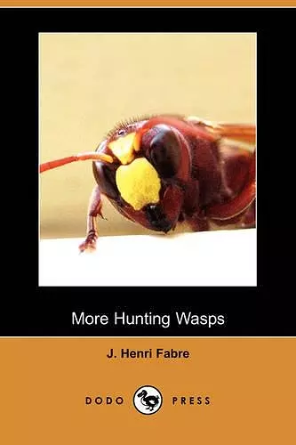 More Hunting Wasps (Dodo Press) cover