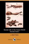 Social Life in the Insect World (Illustrated Edition) (Dodo Press) cover