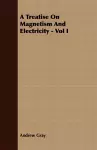 A Treatise On Magnetism And Electricity - Vol I cover