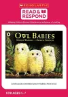 Owl Babies cover