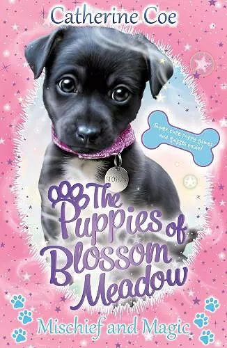 Mischief and Magic (Puppies of Blossom Meadow #2) cover