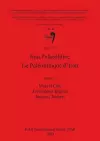 Iran Palaeolithic / Le Paléolithique d'Iran cover