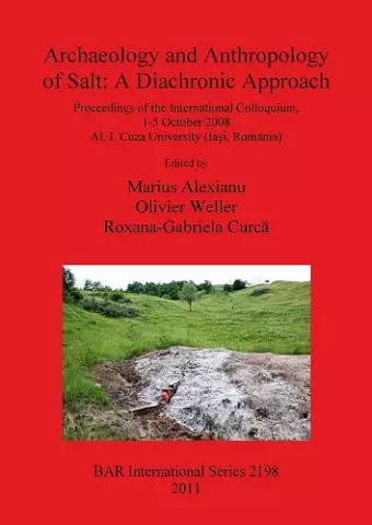 Archaeology and Anthropology of Salt cover