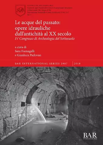 Le acque del passato: opere idrauliche dall'antichità al XX secolo cover