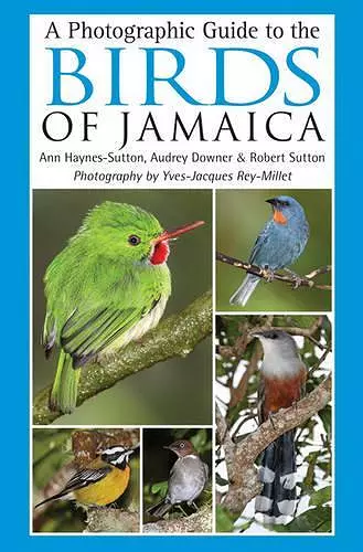 A Photographic Guide to the Birds of Jamaica cover
