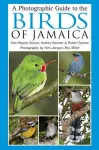 A Photographic Guide to the Birds of Jamaica cover